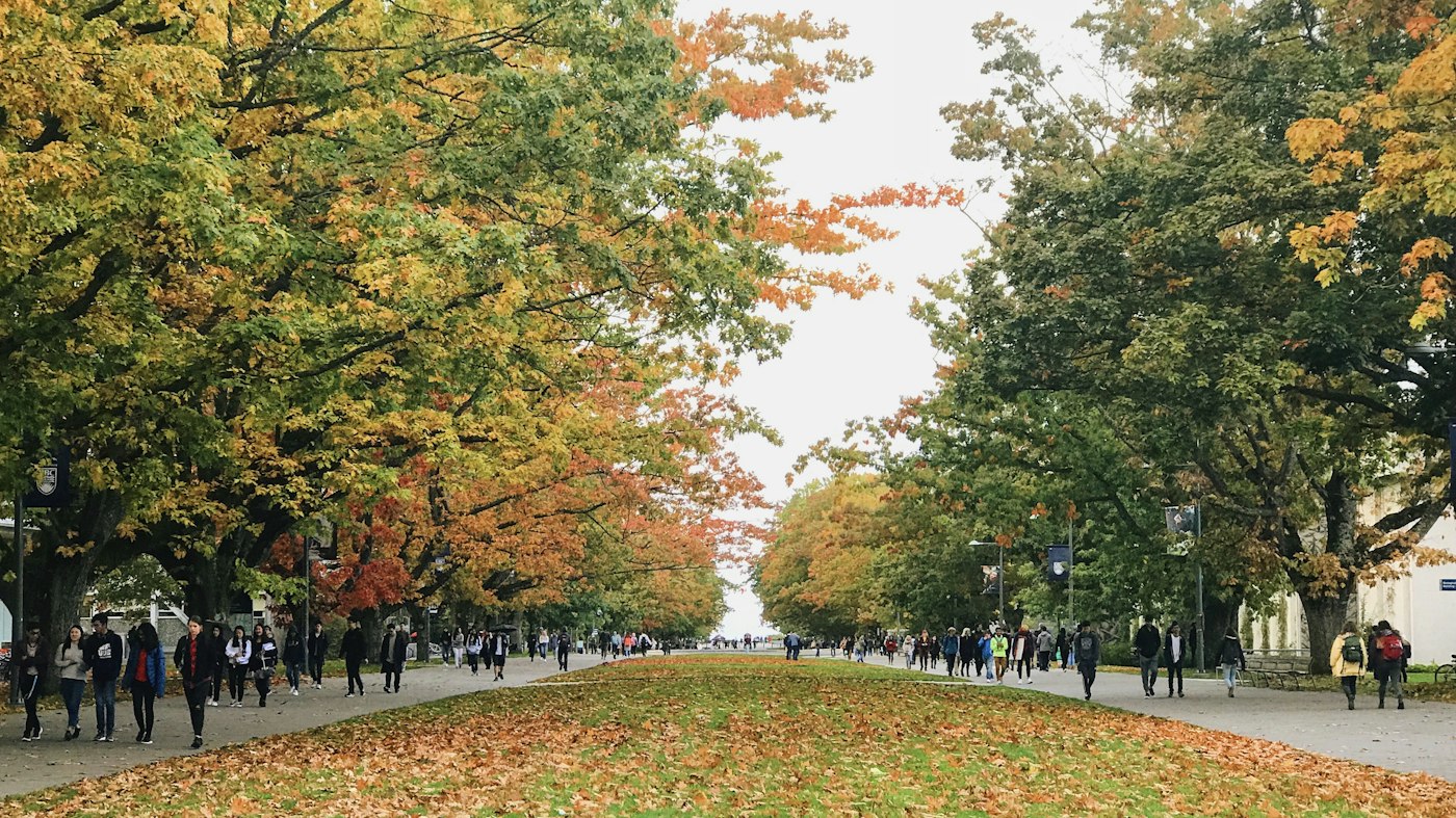 University of British Columbia kampüsü